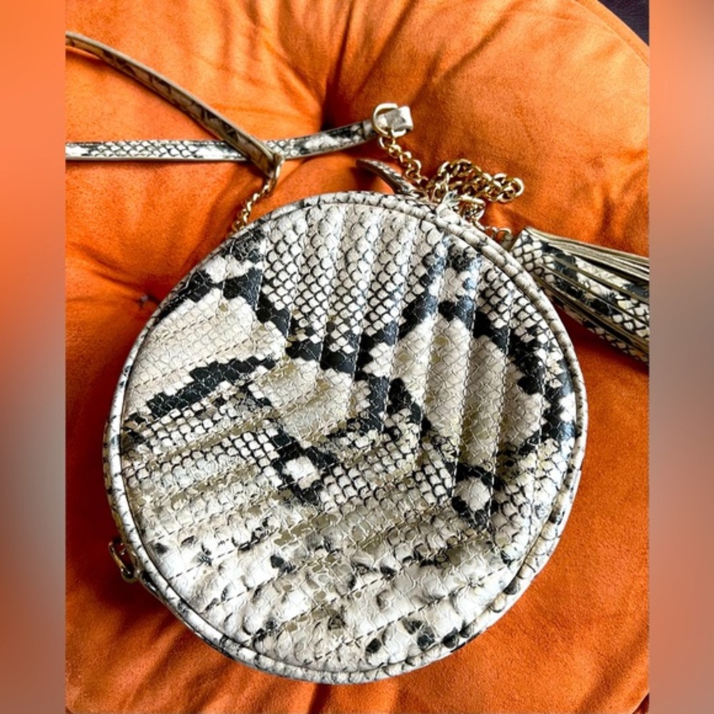 Chic Snakeskin Crossbody Bag